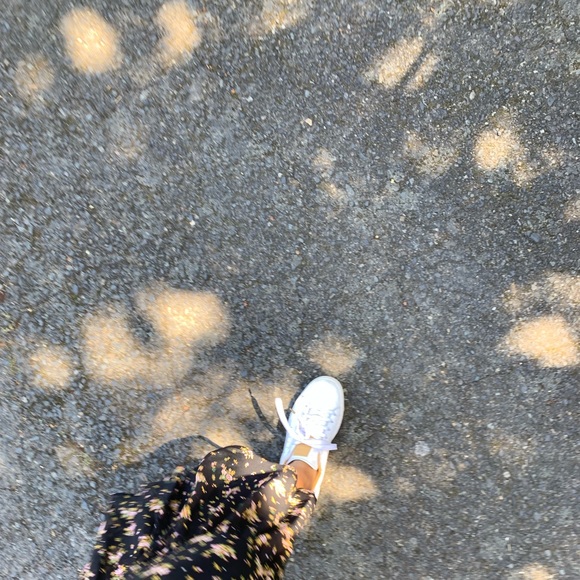 Meet your Posher, Zuri - Picture 5 of 7